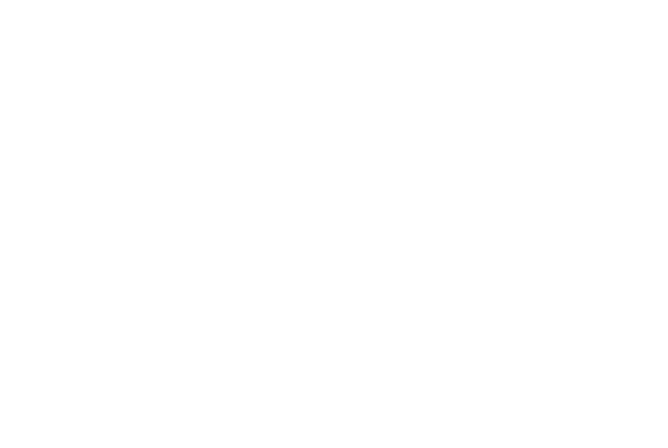 Logo Suzuki Vertical Blanc